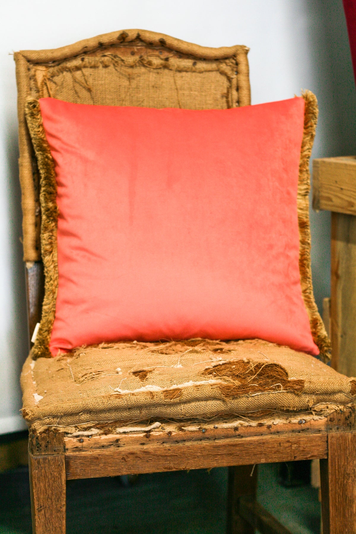 The Guardian Cushion